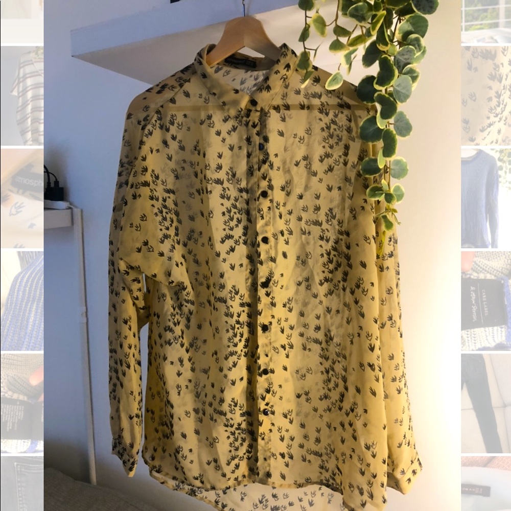 Atmosphere transparent shirt with bird print